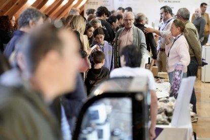 Feria VallaQueso organizado por la Diputación de Valladolid
