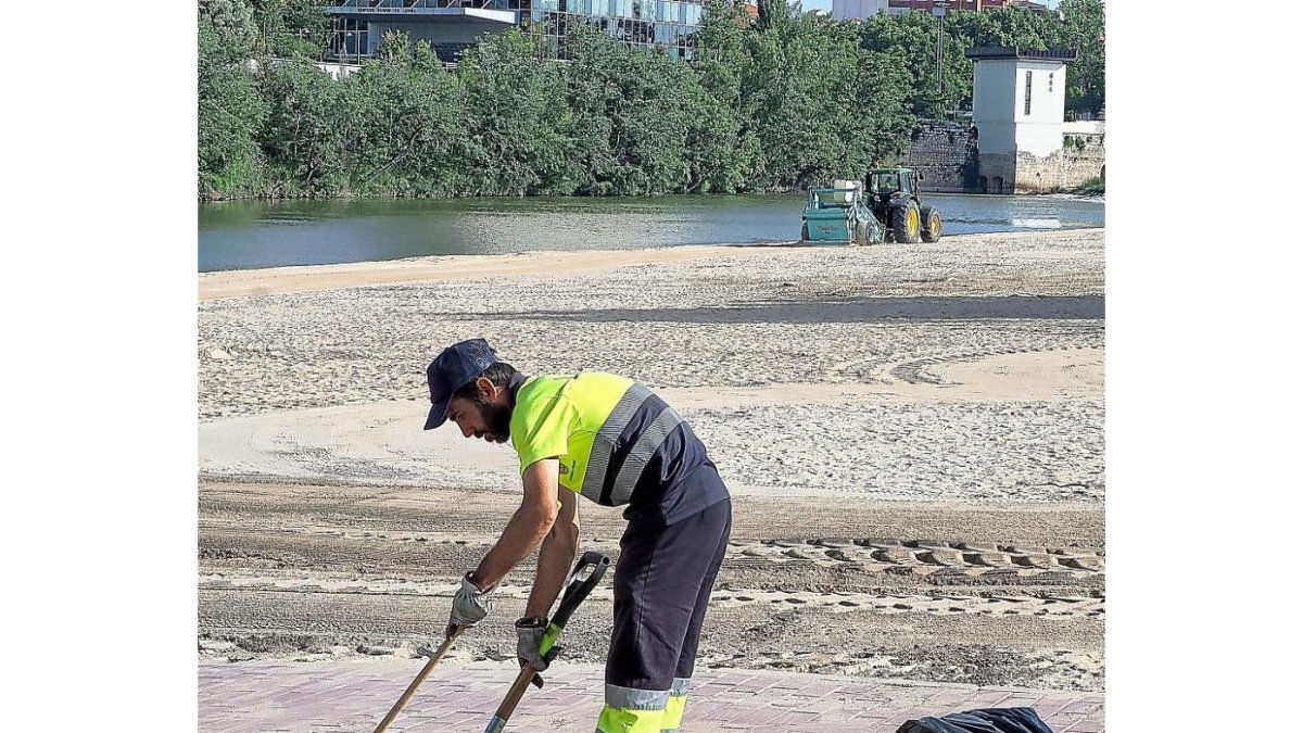 Un trabajador del Servicio de Limpieza en la playa de Las Moreras, imagen de archivo.- E.M.