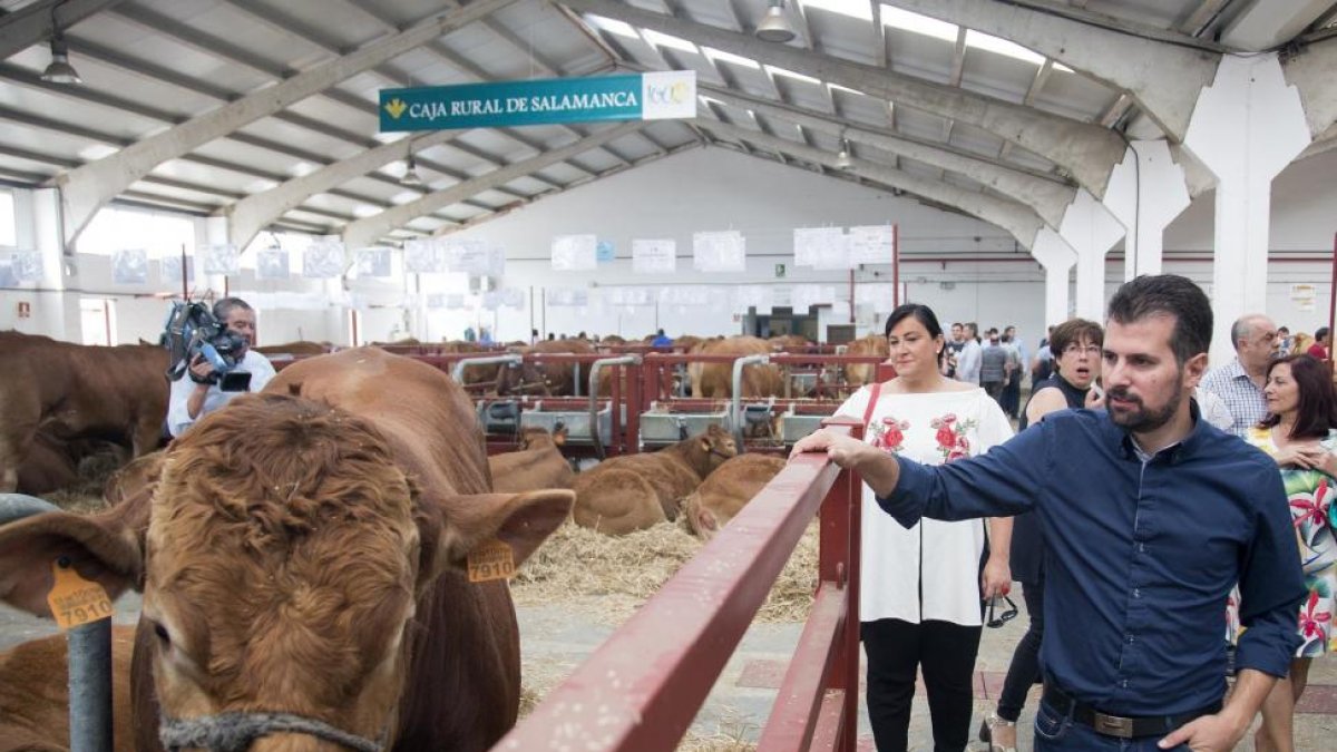 El secretario general del PSOE en Castilla y León, Luis Tudanca, visita la Feria del Sector Agropecuario y la 29 Exposición Internacional de Ganado Puro 'Salamaq 2017'.-ICAL