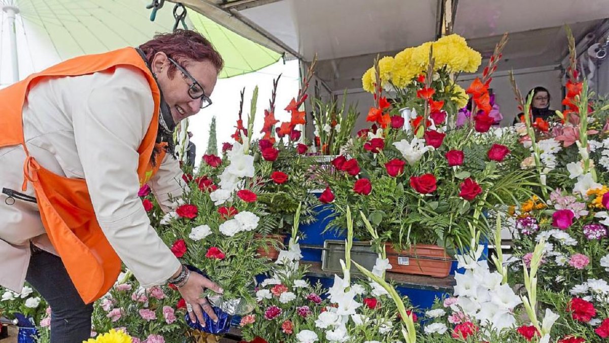 Una florista prepara un ramo de claveles.-Miguel Ángel Santos