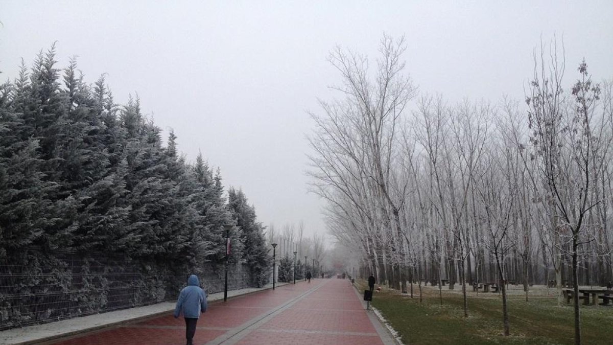 Foto de archivo de frío y niebla en Valladolid. - E. M.