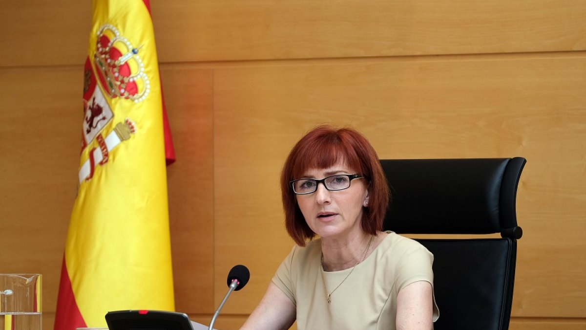 La directora de Profesionales de la Gerencia Regional de Salud, Mercedes Pérez de Miguel. - ICAL