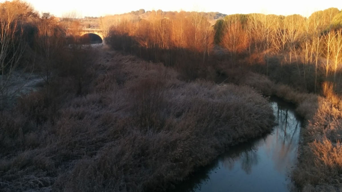 Río Cega-GOOGLE MAPS