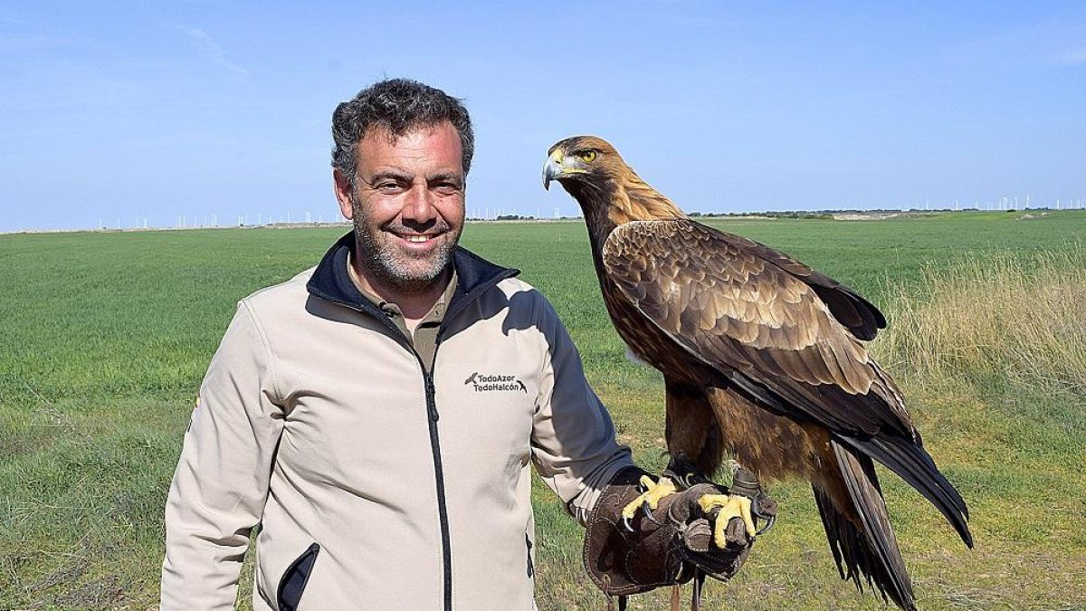 El cetrero Raúl Ortega, con un águila real en el término municipal de Ciguñuela (Valladolid).-ARGICOMUNICACIÓN