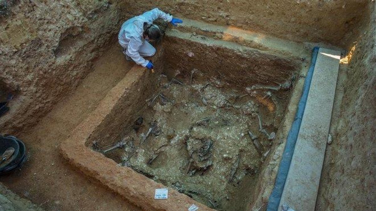 Excavación en la Fosa 113 del complejo de fosas comunes del cementerio de Paterna (Valencia), donde yacen más de 1.000 fusilados por el franquismo.-MIGUEL LORENZO