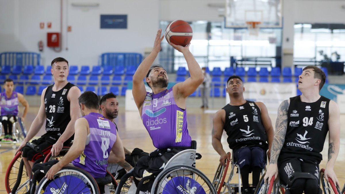 BALONCESTO ADAPTADO / FUNDACIÓN ALIADOS: Reválida para el Aliados ante el  potente Extremadura