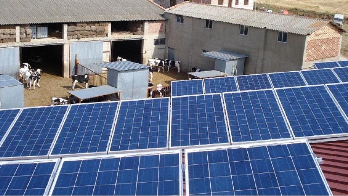 Paneles solares en una explotación de vacuno. Gracias a la energía solar, los ganaderos se ahorran el gasto en combustible para poner en marcha, por ejemplo, sus ordeñadoras.-ABASOL
