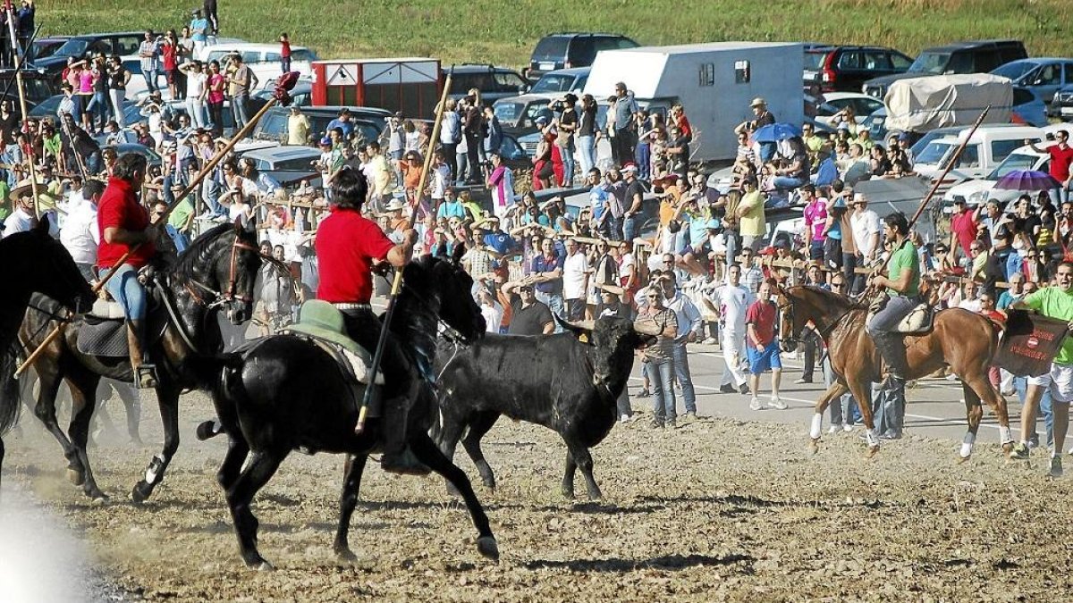 Asistentes a un encierro tradicional de Olmedo.-E.M.