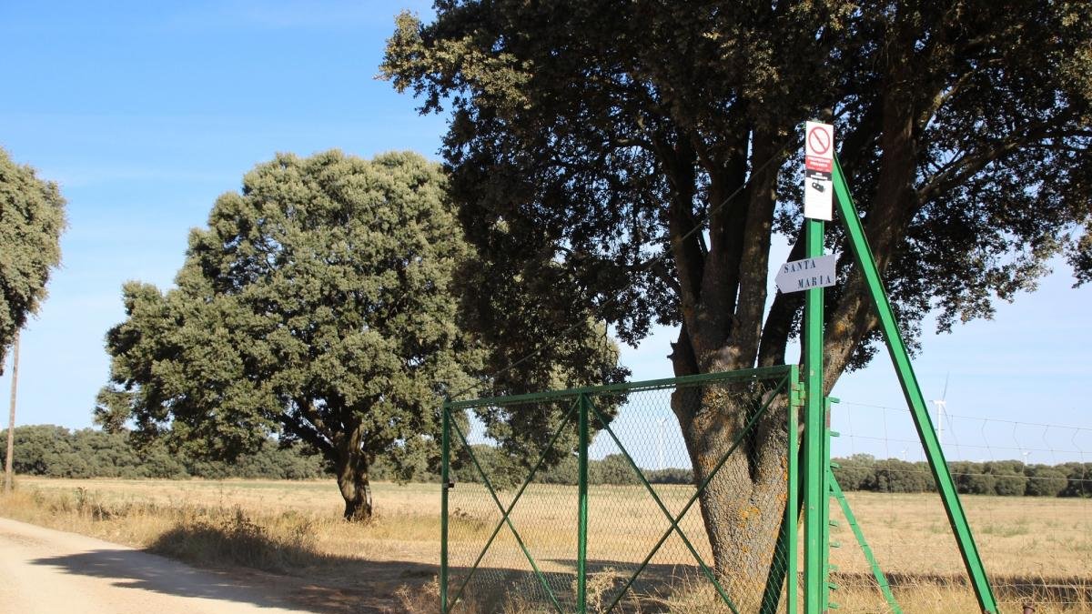 Entrada a la finca donde se produjo el accidente de caza.-L. DE LA FUENTE