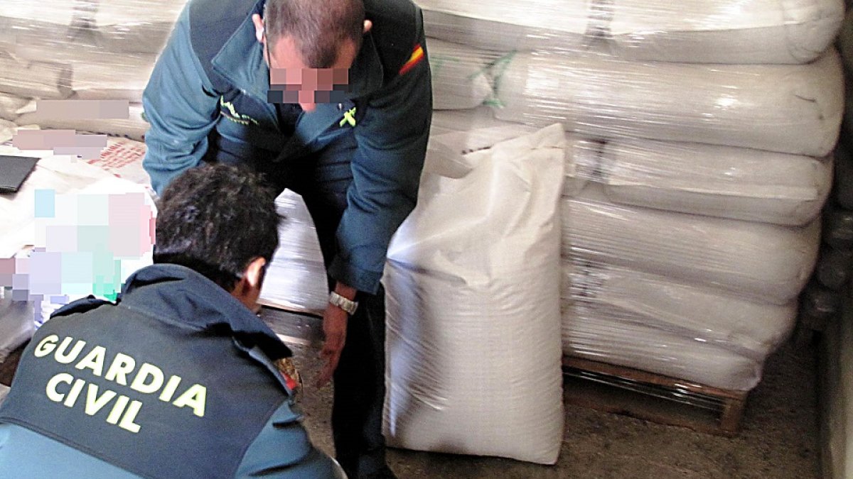 La Guardia Civil interviene semillas de trigo en Ávila por un delito contra la propiedad industrial en una foto de archivo. | G. CIVIL