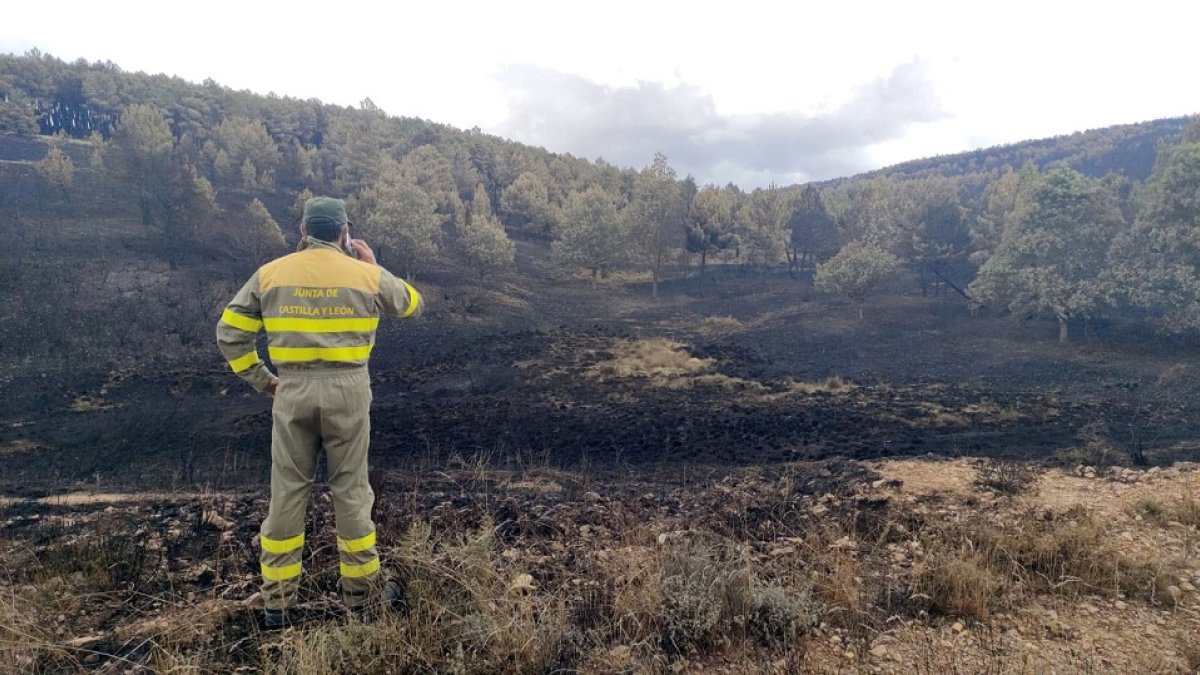 Incendio en la Sierra de la Culebra en Zamora. - ICAL