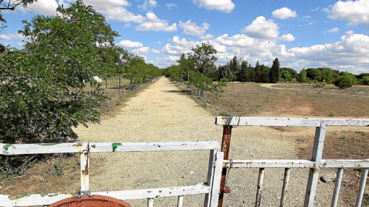 Terrenos de la antigua Hípica Militar donde estaba previsto celebrar Pingüinos-J.M.Lostau