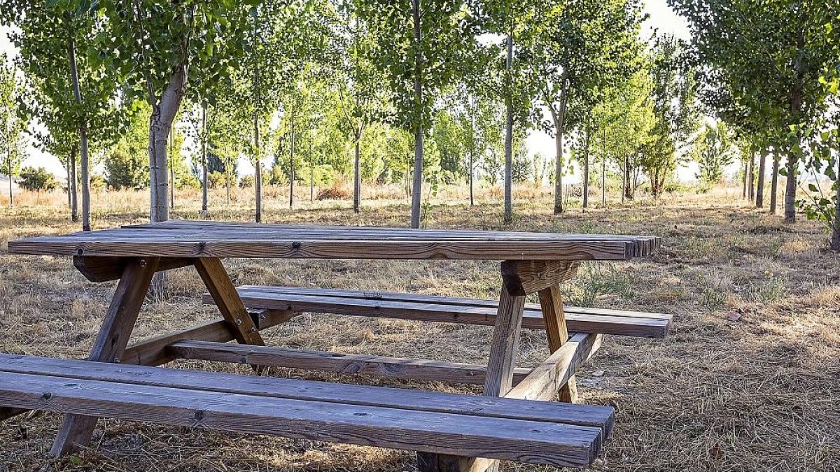 Zona de la chopera, donde se instalará una nueva pista de pádel y un circuito de fitness al aire libre.-RAÚL GONZÁLEZ SANZ