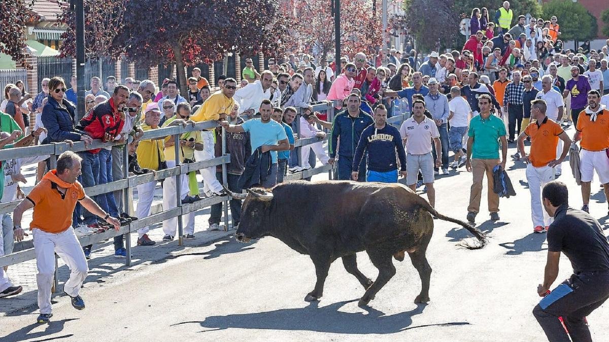 Imagen de archivo de un encierro en Laguna de Duero, municipio que ya está en proceso de contratar los festejos para este año.-PHOTOGENIC