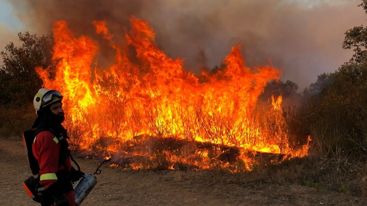 Un bombero de Valladolid en las tareas de extinción de incendios en Zamora.- E. M.