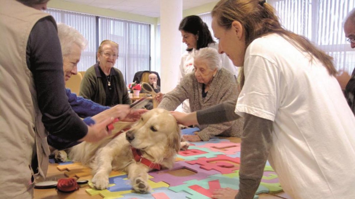 Varias residentes peinan, ayer, a uno de los canes en la jornada de terapia asistida con animales en La Seca.-El Mundo