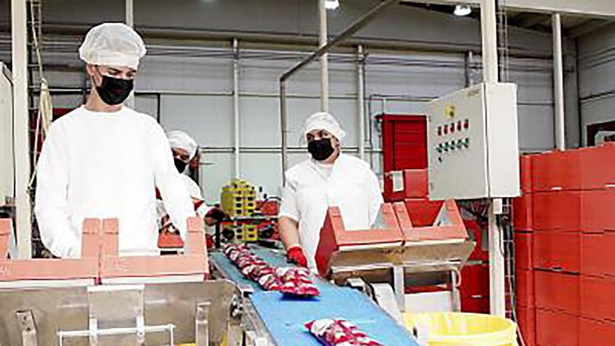 Jóvenes operarios en una fábrica de Valladolid.- ICAL