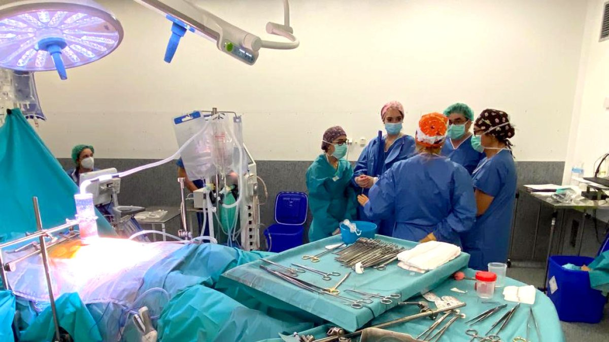 Unidad de cirugía oncológica peritoneal' del Hospital Universitario Río Hortega. -ICAL