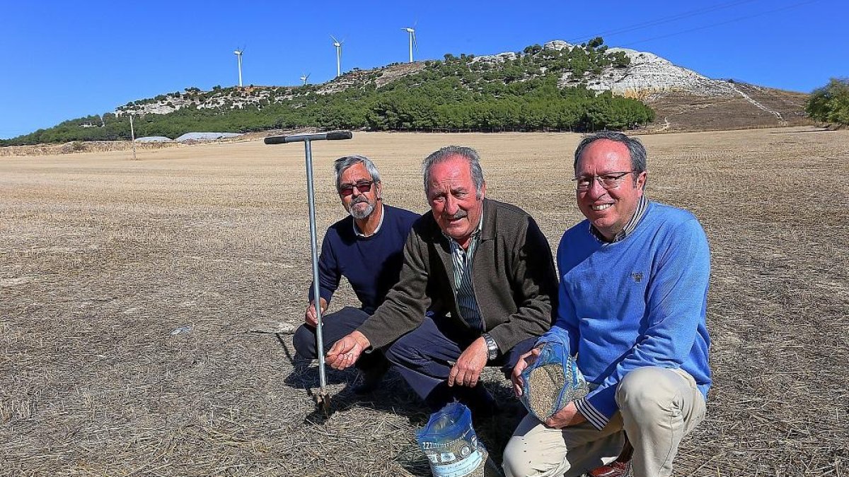 Los profesores de la Escuela Técnica Superior de Ingenierías Agrarias de Palencia, Fermín Garrido, Zacarías Clérigo y José Luis Marcos, muestran semillas de trigo en una finca cercana a la capital.-BRÁGIMO