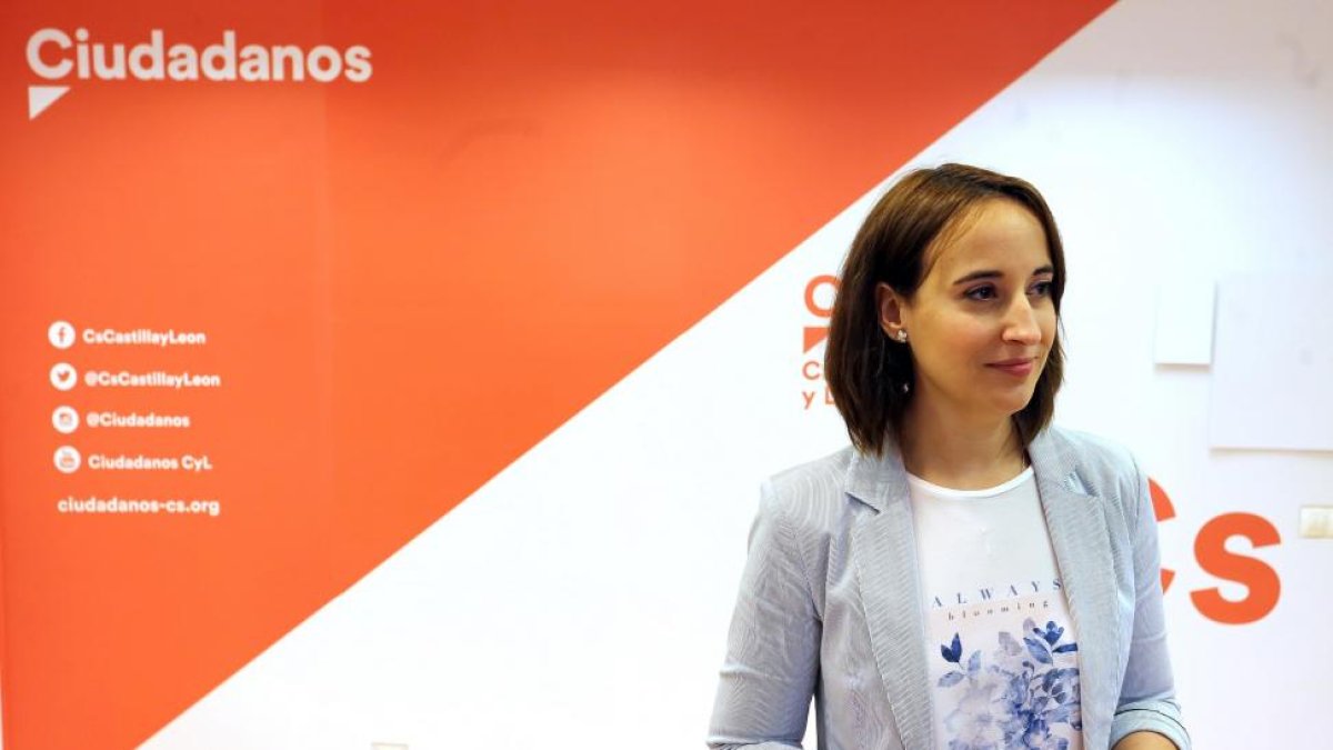 La portavoz de Ciudadanos, Pilar Vicente-EUROPA PRESS