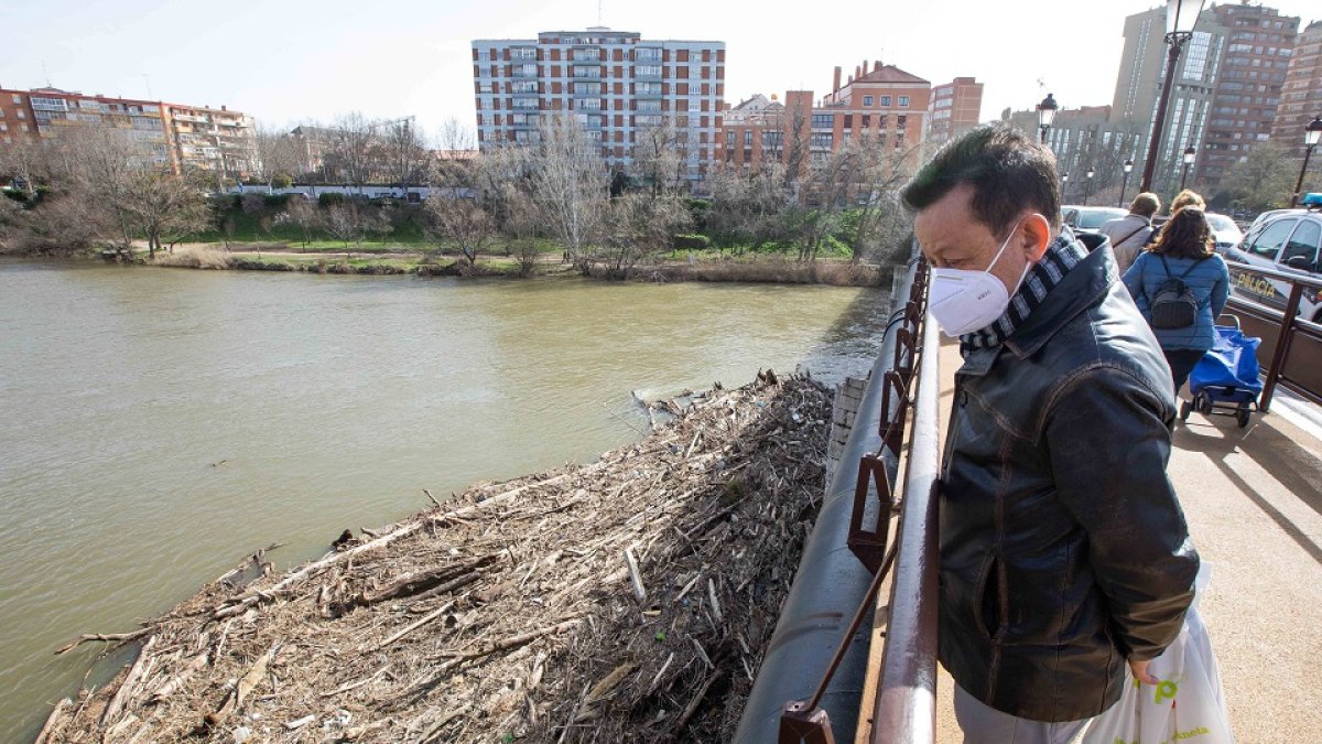 Un ciudadano observa desde el Puente Mayor, ayer, los troncos arrastrados por el río. J.M. LOSTAU