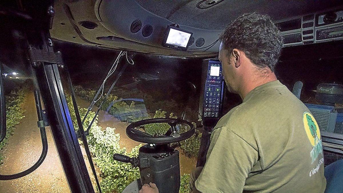 Un operario realiza una vendimia nocturna a máquina en una bodega de La Seca, de la DO Rueda. / PABLO REQUEJO