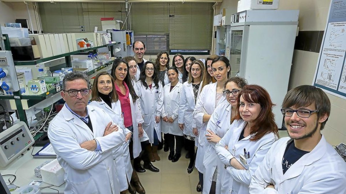 Participantes en la nueva investigación sobre un cáncer de hígado muy agresivo en el Instituto de Investigación Biomédica de Salamanca.-ENRIQUE CARRASCAL