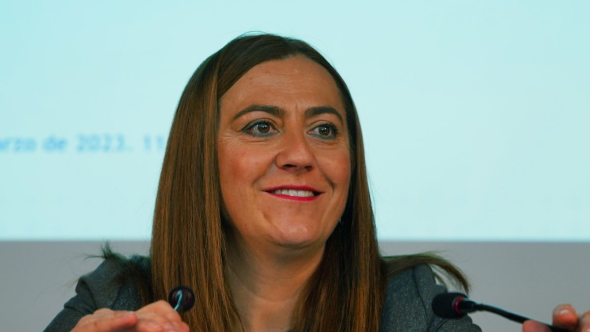 Virginia Barcones, delegada del Gobierno en Castilla y León, durante una comparecencia. -ICAL
