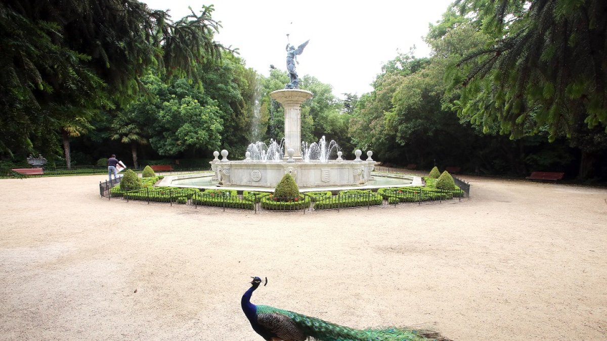 Parque Campo Grande de Valladolid. - ICAL