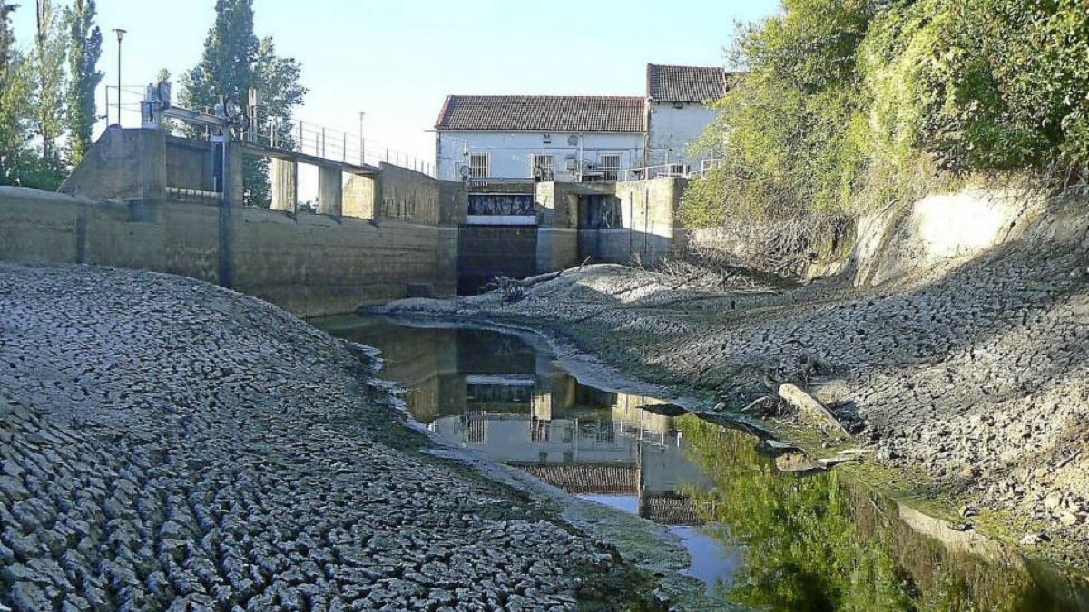 Vista del río Cega a su paso por la provincia vallisoletana.-El Mundo