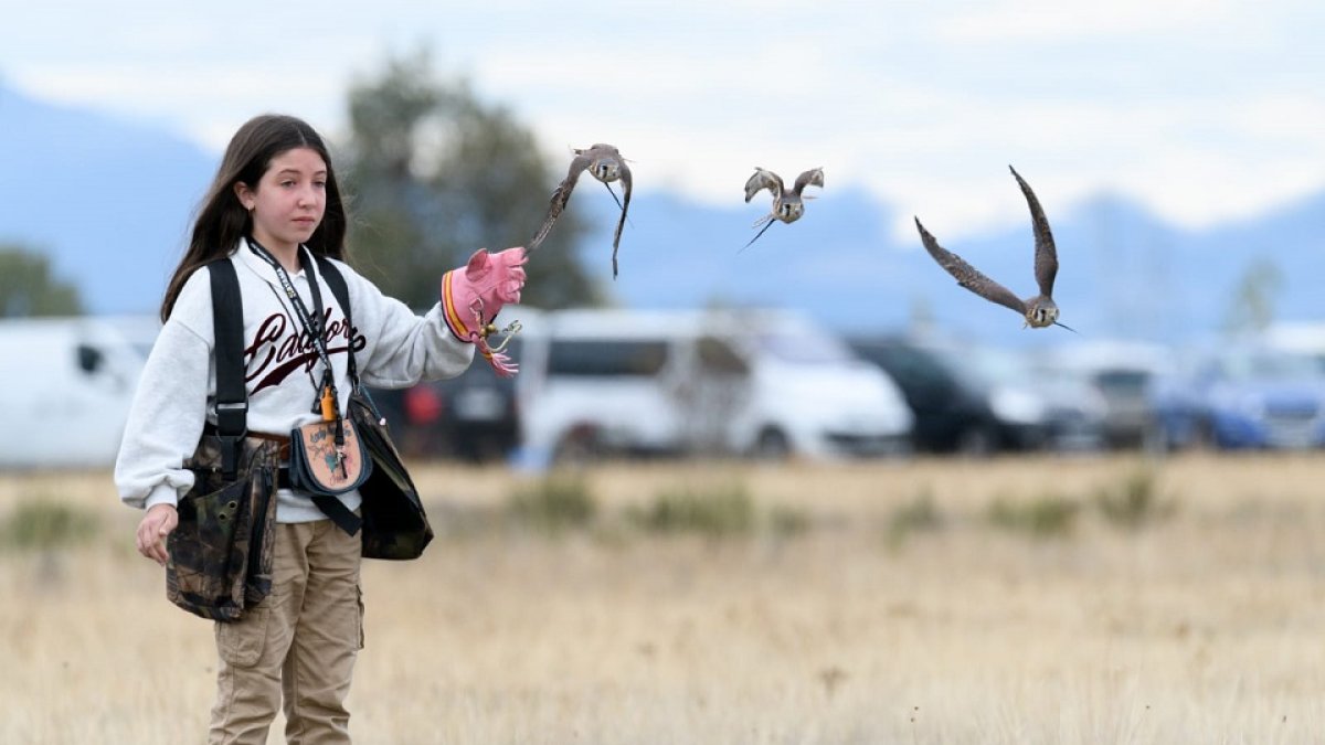 La jovencísima cetrera salmantina Inés Sanz con sus aves en una prueba de cetrería. / EL MUNDO