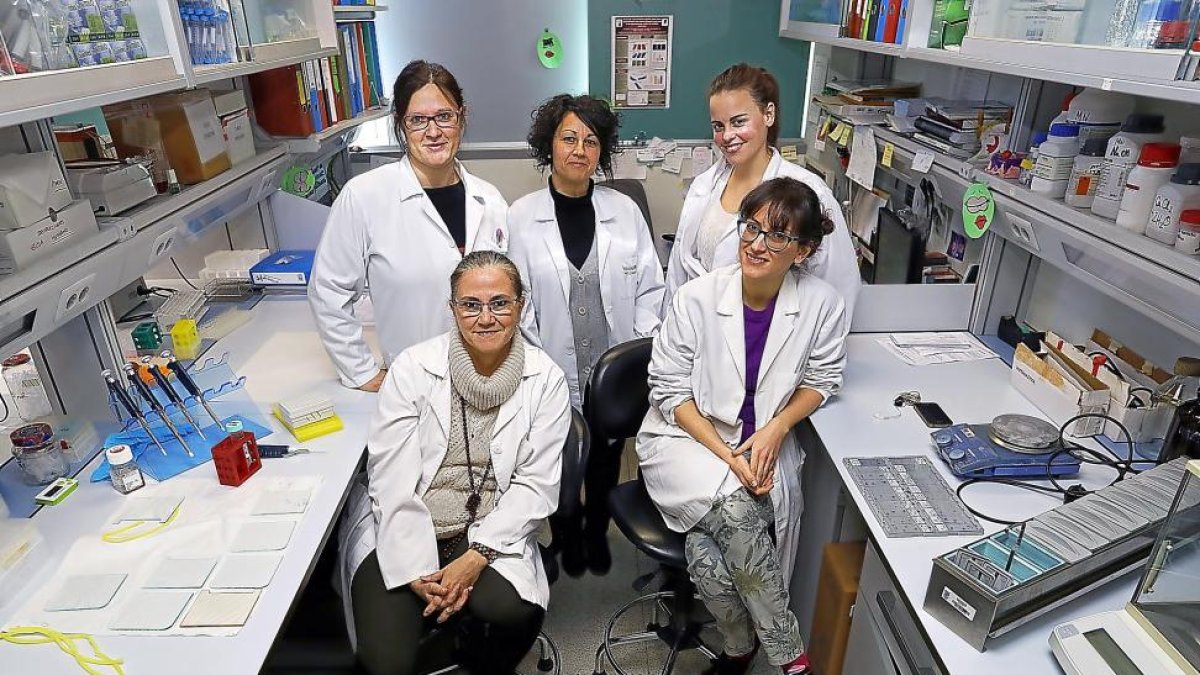 Investigadoras participantes en el estudio en las instalaciones del Instituto de Biología y Genética Molecular de Valladolid.-J. M. LOSTAU