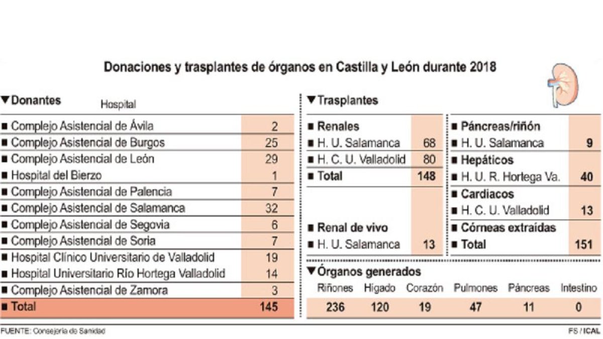 Donaciones y trasplantes de órganos en Castilla y León durante 2018-ICAL
