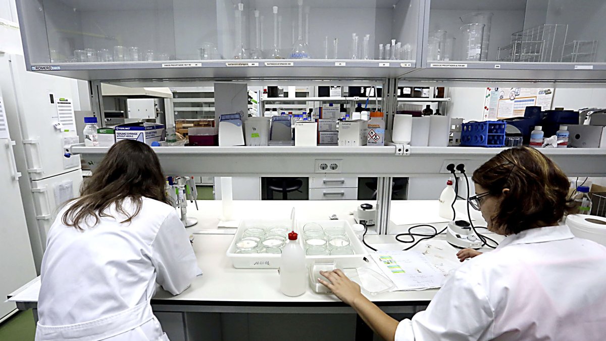 Dos investigadoras analizan muestras en el laboratorio del Instituto Tecnológico Agrario. Miriam Chacón / ICAL