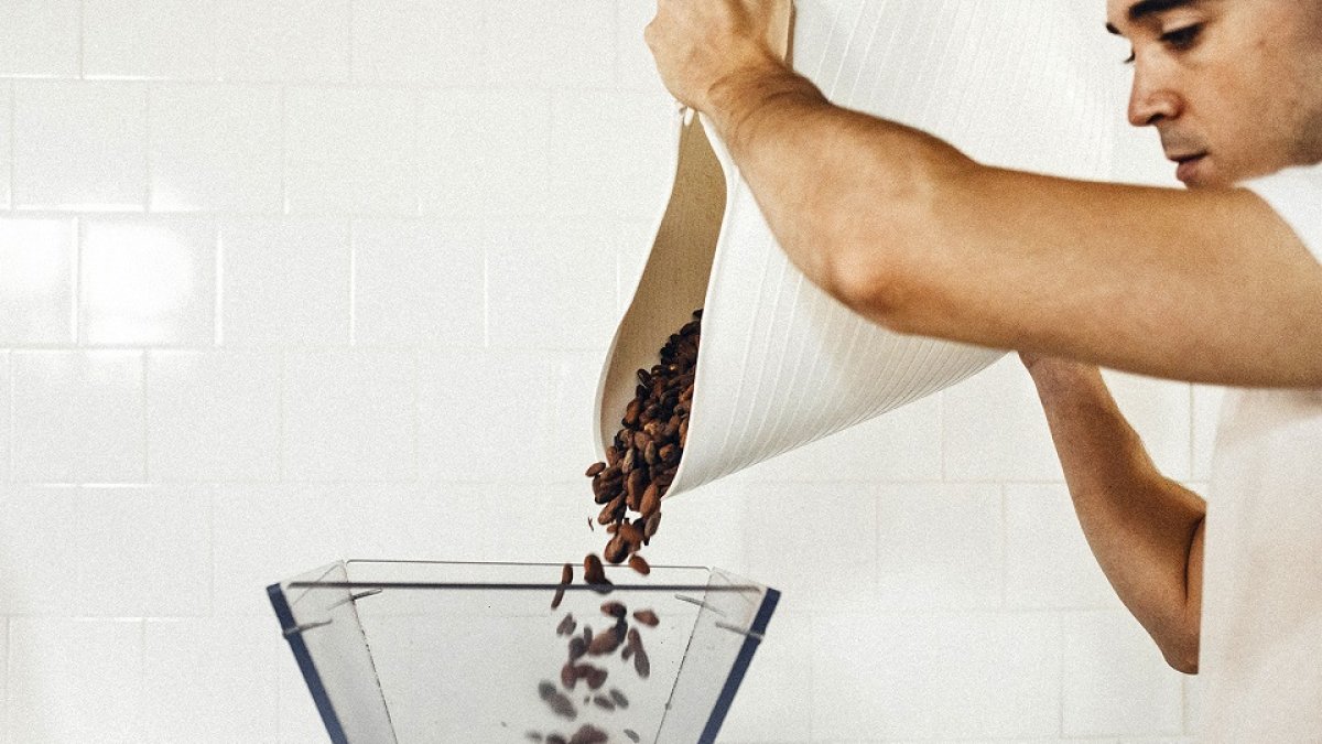 El chocolate ‘bean to bar’ controla todo el proceso desde el árbol. En la imagen,  habas de cacao, una materia prima que adquieren a pequeños agricultores.  / EL CARRUSEL