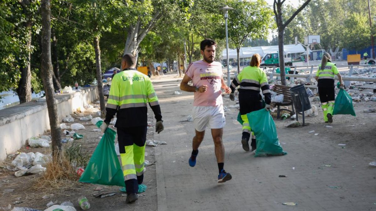 Limpieza de Moreras después de San Juan en Valladolid.- J. M. LOSTAU