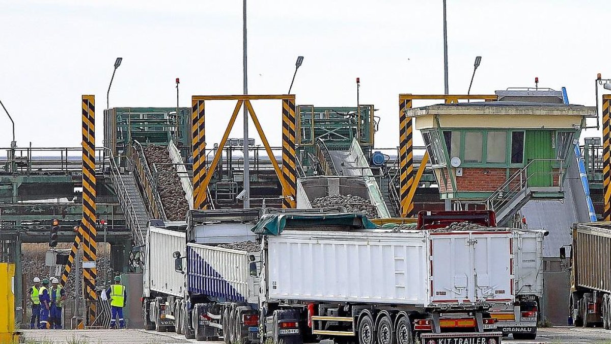 Camiones a la espera de su turno de descarga entre las cintas transportadoras de Acor, ayer en Olmedo.-J.M. LOSTAU