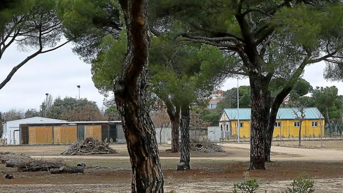 Lugar de acampada de la concentración de Pingüinos, en los terrenos de la antigua Hípica Militar.-J.M. LOSTAU