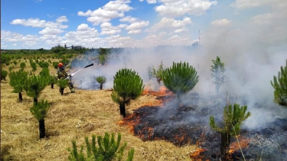 Incendio en el 'Bosque de los sueños' en Valladolid. - BOMBEROS DE VALLADOLID