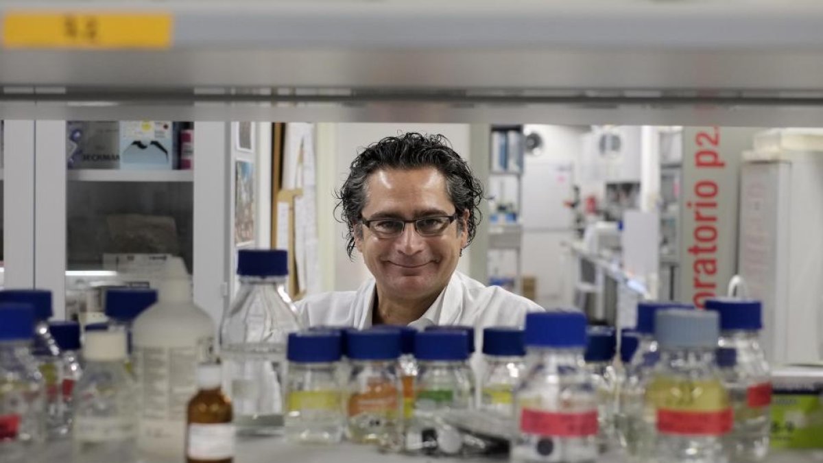 Juan Pedro Bolaños, coordinador del grupo de trabajo, en las instalaciones de su laboratorio en la Universidad de Salamanca.-ENRIQUE CARRASCAL