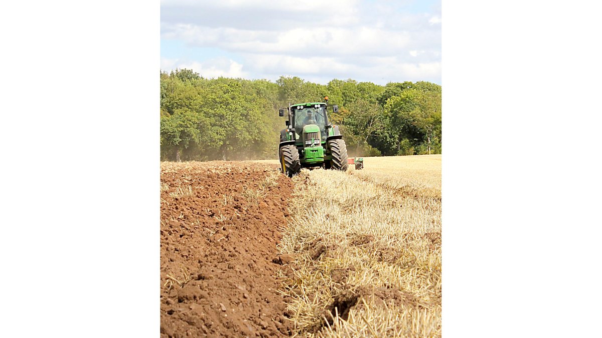El arado o volteo de la tierra es la primera labor de la sementera. PQS / CCO