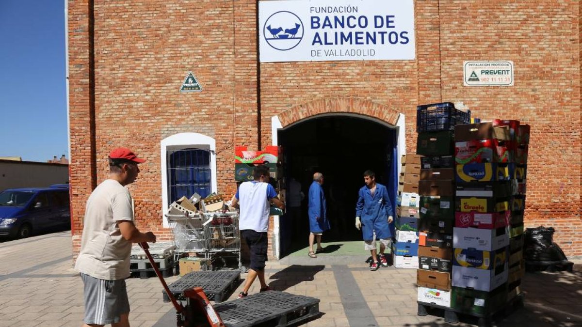 La Fundación Banco de Alimentos de Valladolid-Ical