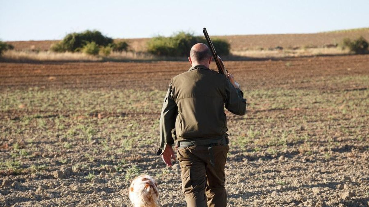 Un cazador de la localidad zamorana de Entrala durante el inicio de la media veda de caza en Castilla y León