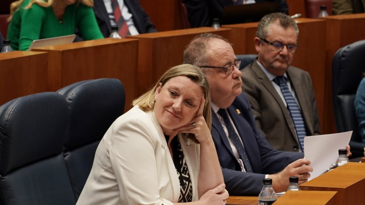 La consejera de Familia e Igualdad de Oportunidades, Isabel Blanco, durante el pleno en las Cortes. ICAL