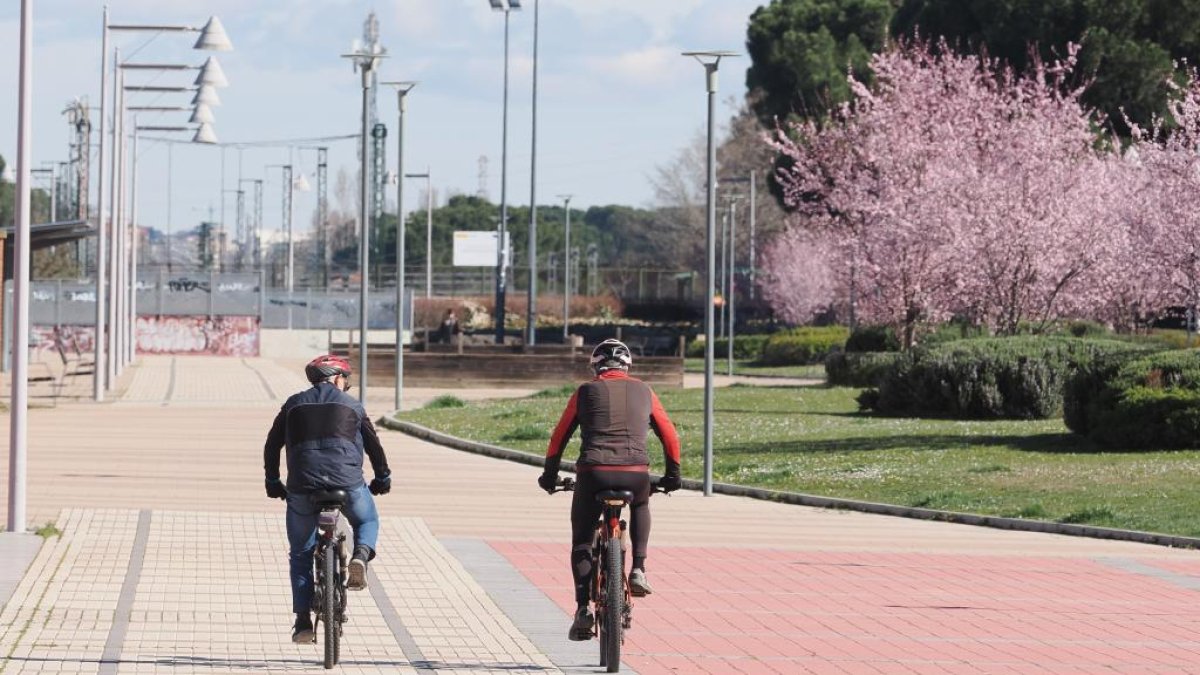 Bulevar construido sobre las antiguas vías del tren en el barrio Pinar de Antequera.- PHOTOGENIC