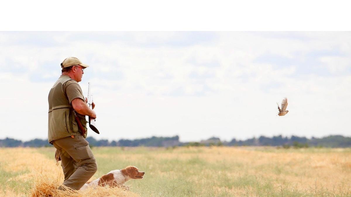 Un cazador y un perro localizan a una codorniz. ICAL