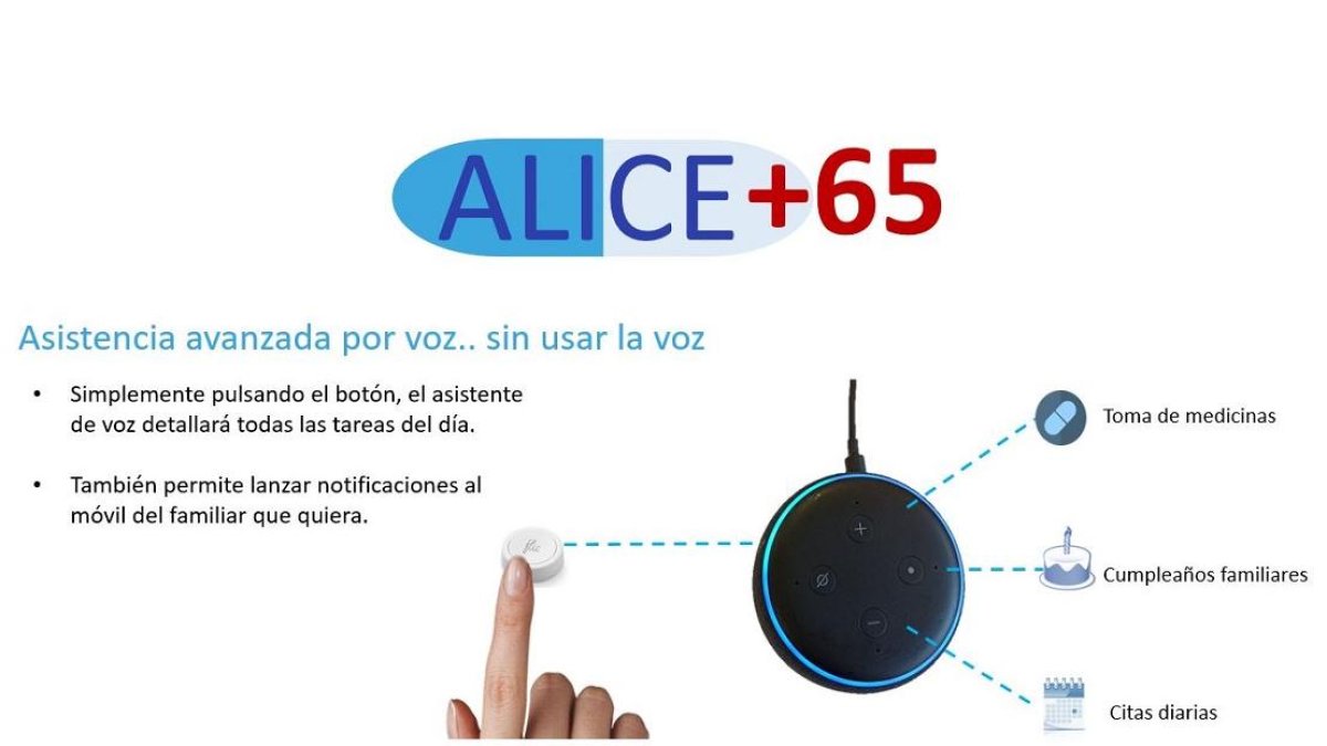 Alice65
