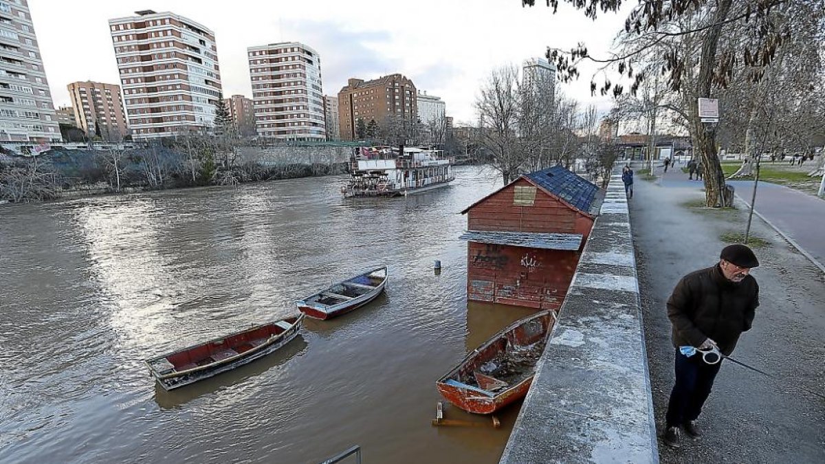Río Pisuerga a su paso por LasMoreras en la tarde de ayer, donde permanecía inundado el camino de ribera.-J.M. LOSTAU