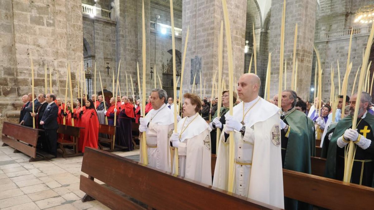 Imágenes de la bendición de las palmas en la catedral de Valladolid. PHOTOGENIC