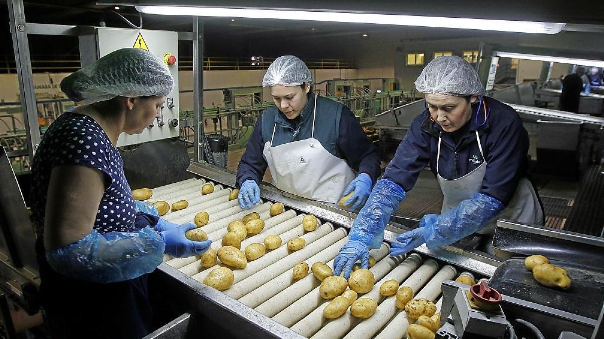 Fábrica de ‘snacks’ Patatas Meléndez, en Medina del Campo.-J. M. LOSTAU